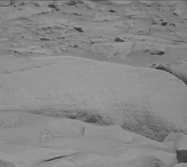 Sol 2699: Mast Camera (Mastcam)