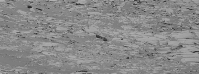 Sol 2700: Mast Camera (Mastcam)