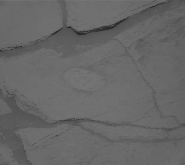 Sol 2702: Mast Camera (Mastcam)