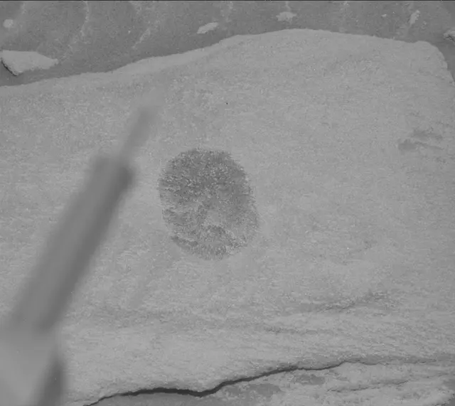 Sol 2710: Mast Camera (Mastcam)