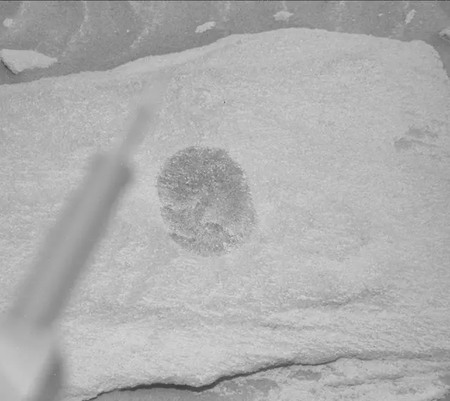 Sol 2710: Mast Camera (Mastcam)