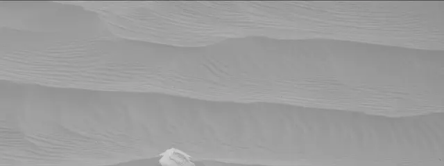 Sol 2716: Mast Camera (Mastcam)