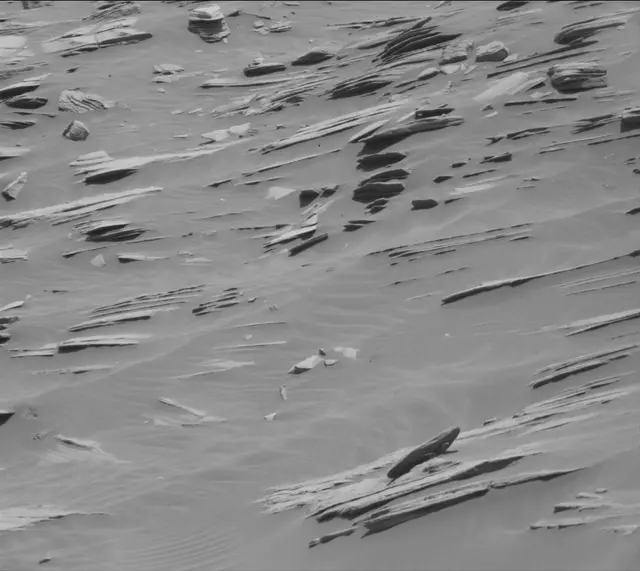 Sol 2717: Mast Camera (Mastcam)
