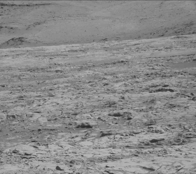 Sol 2719: Mast Camera (Mastcam)