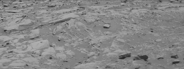 Sol 2731: Mast Camera (Mastcam)