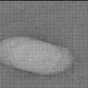 Sol 2737: Mast Camera (Mastcam)