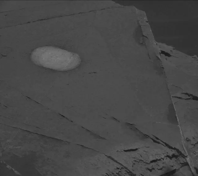 Sol 2737: Mast Camera (Mastcam)