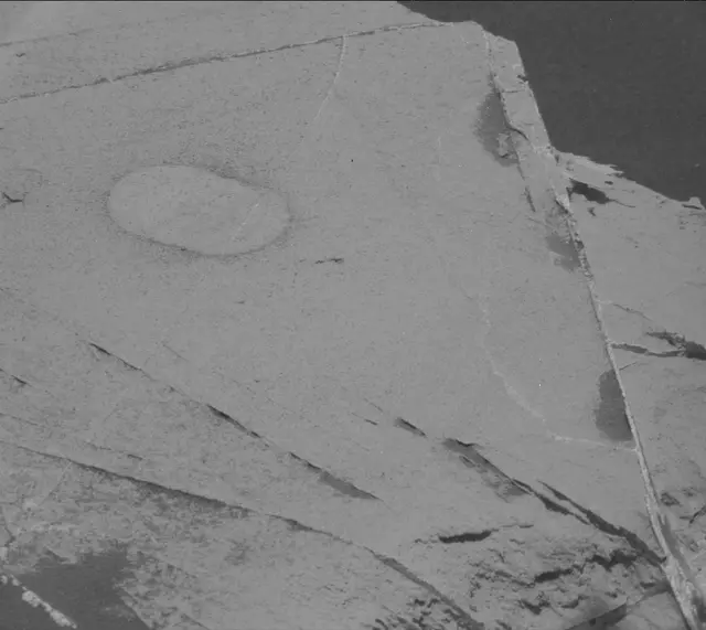 Sol 2737: Mast Camera (Mastcam)