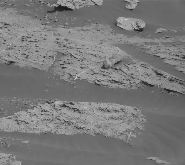 Sol 2737: Mast Camera (Mastcam)