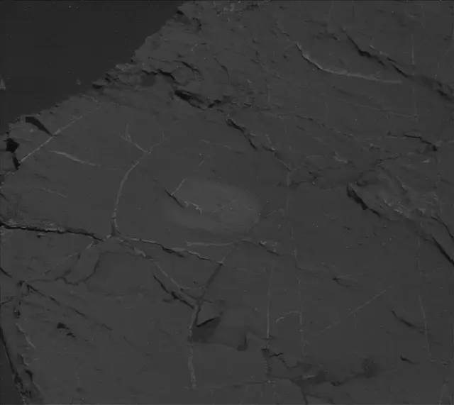 Sol 2745: Mast Camera (Mastcam)