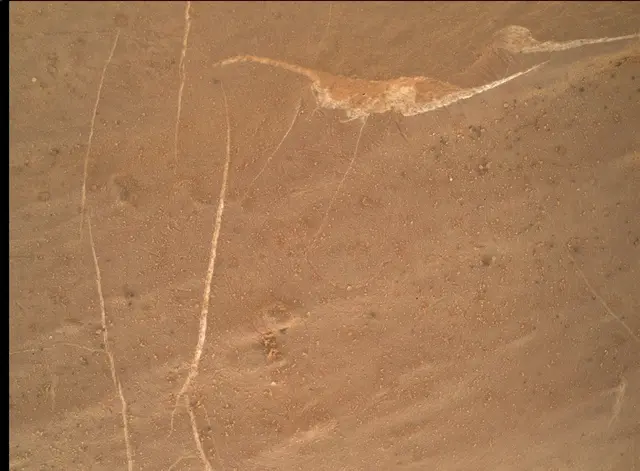 Sol 2745: Mars Hand Lens Imager (MAHLI)