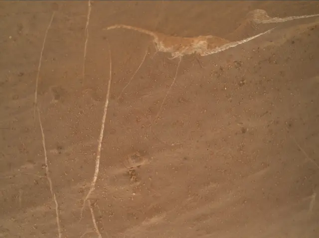 Sol 2745: Mars Hand Lens Imager (MAHLI)