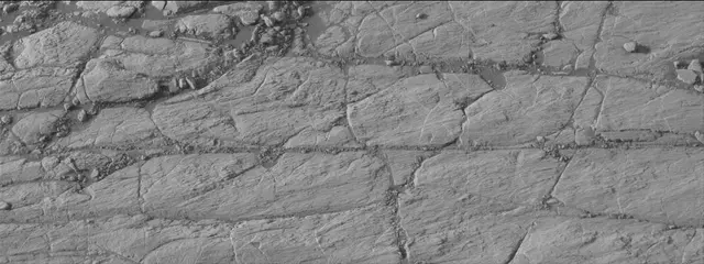 Sol 2747: Mast Camera (Mastcam)