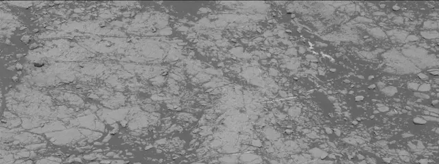 Sol 2756: Mast Camera (Mastcam)