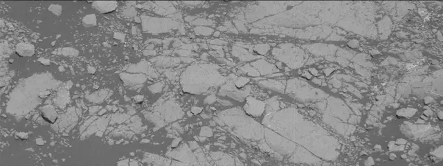 Sol 2758: Mast Camera (Mastcam)
