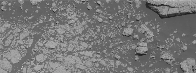 Sol 2758: Mast Camera (Mastcam)