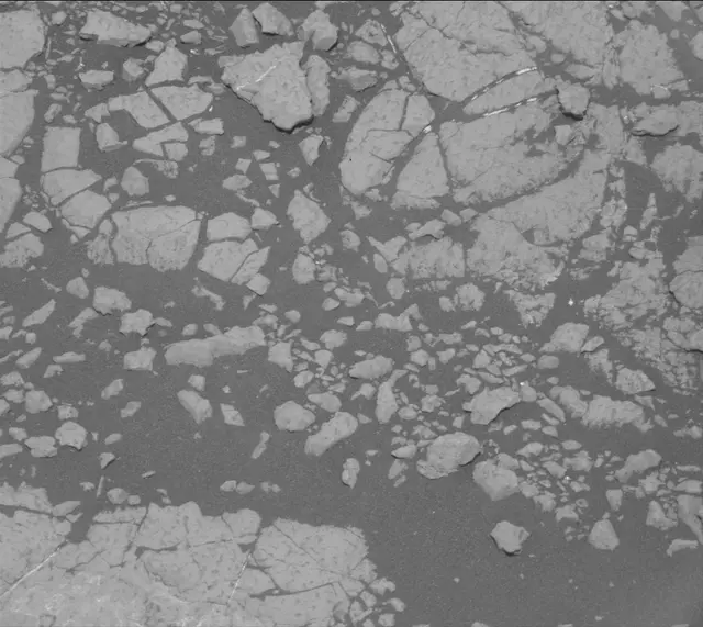 Sol 2778: Mast Camera (Mastcam)