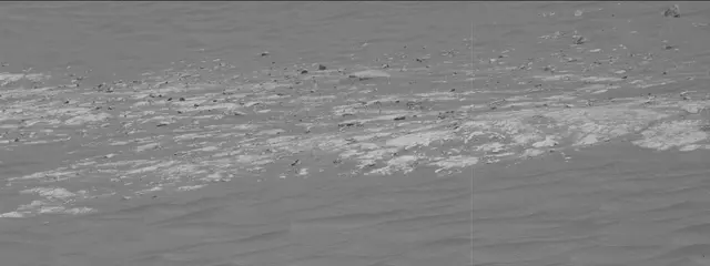 Sol 2786: Mast Camera (Mastcam)