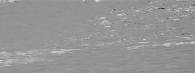 Sol 2786: Mast Camera (Mastcam)