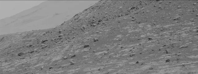 Sol 2788: Mast Camera (Mastcam)
