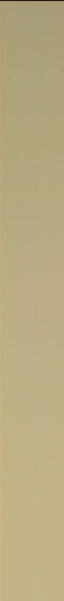 Sol 2794: Mast Camera (Mastcam)