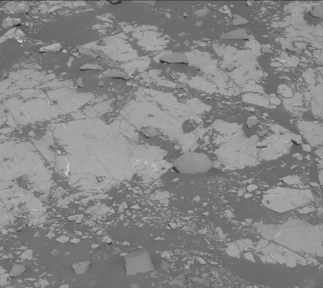 Sol 2789: Mast Camera (Mastcam)