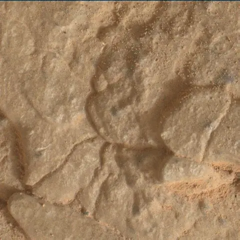 Sol 2826: Mars Hand Lens Imager (MAHLI)