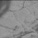 Sol 2837: Mast Camera (Mastcam)