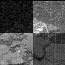 Sol 2898: Mast Camera (Mastcam)