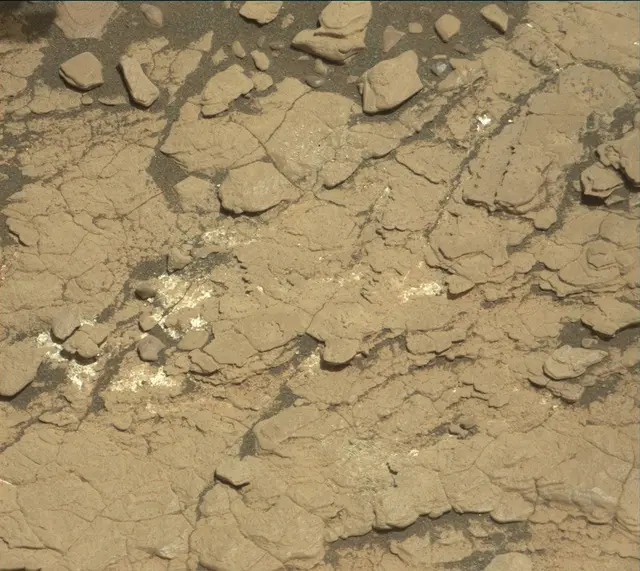 Sol 2920: Mast Camera (Mastcam)