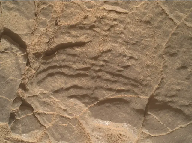 Sol 2945: Mars Hand Lens Imager (MAHLI)