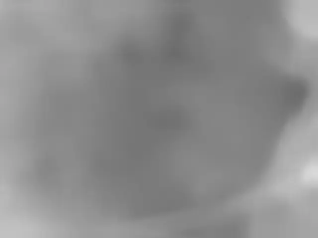Sol 2955: Mars Hand Lens Imager (MAHLI)