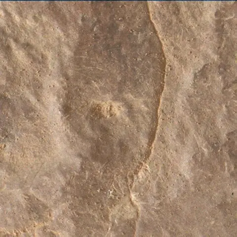 Sol 2955: Mars Hand Lens Imager (MAHLI)