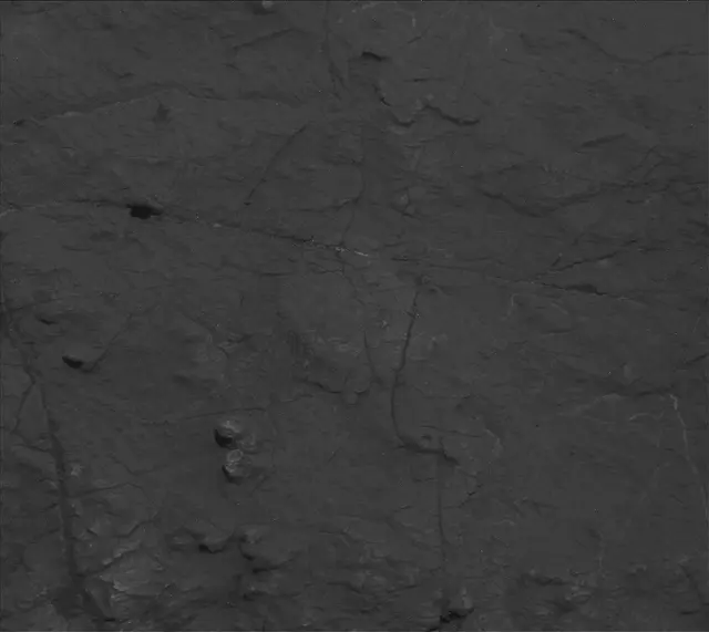 Sol 2975: Mast Camera (Mastcam)