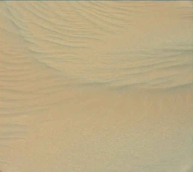 Sol 2979: Mast Camera (Mastcam)