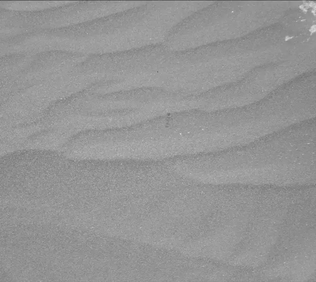 Sol 2979: Mast Camera (Mastcam)