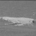 Sol 2993: Mast Camera (Mastcam)