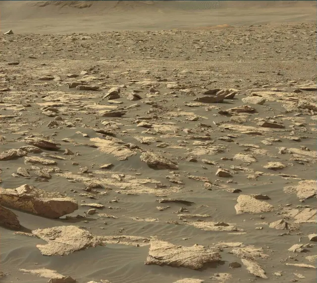 Sol 2995: Mast Camera (Mastcam)