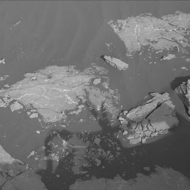 Sol 2995: Mast Camera (Mastcam)