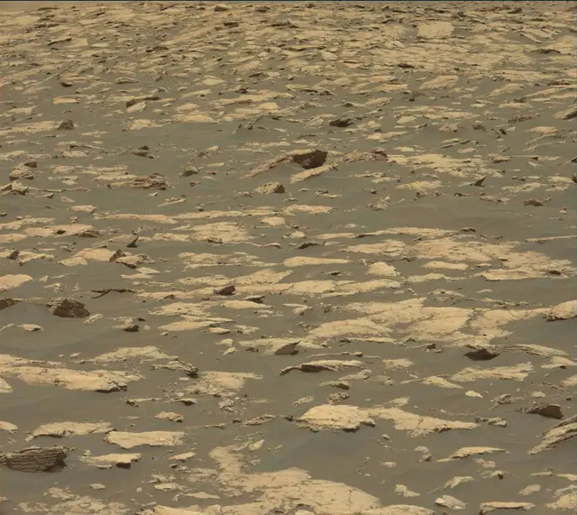 Sol 2998: Mast Camera (Mastcam)