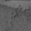 Sol 3086: Mast Camera (Mastcam)