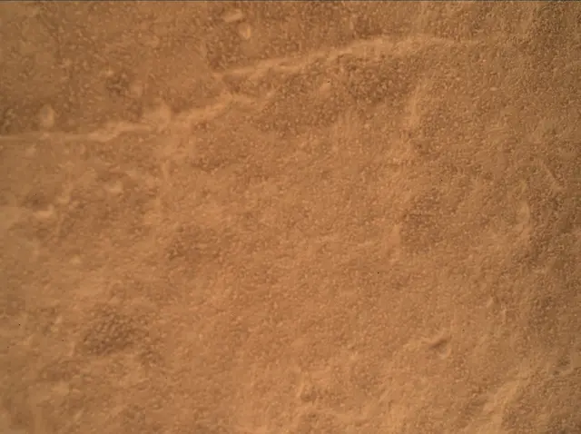 Sol 3088: Mars Hand Lens Imager (MAHLI)