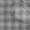 Sol 3091: Mast Camera (Mastcam)