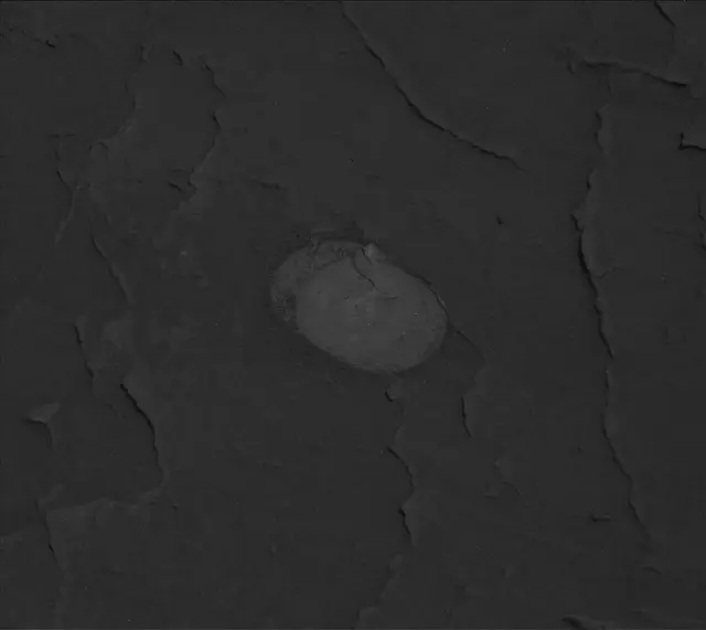 Sol 3091: Mast Camera (Mastcam)