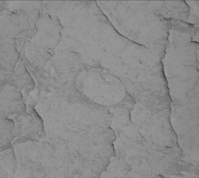 Sol 3091: Mast Camera (Mastcam)