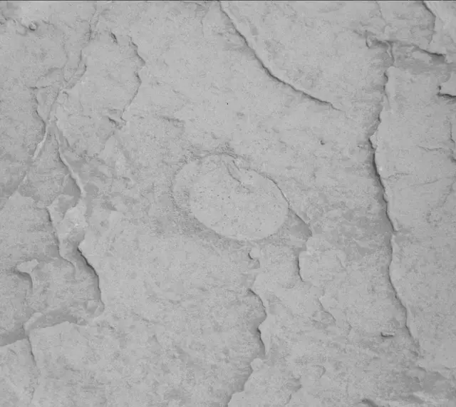 Sol 3091: Mast Camera (Mastcam)