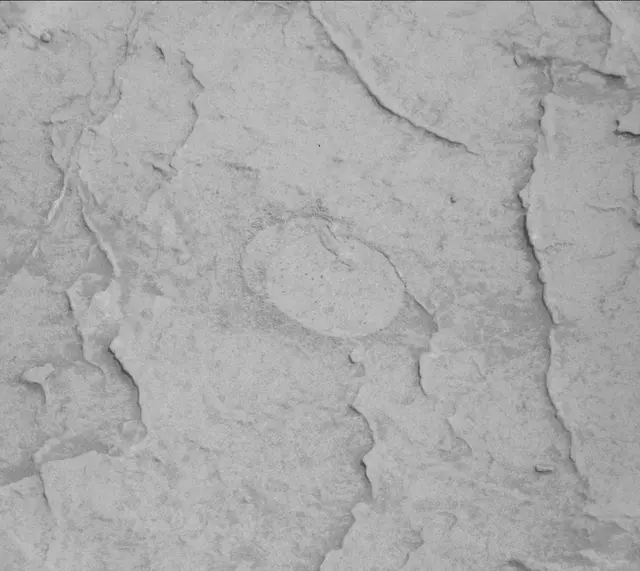 Sol 3091: Mast Camera (Mastcam)