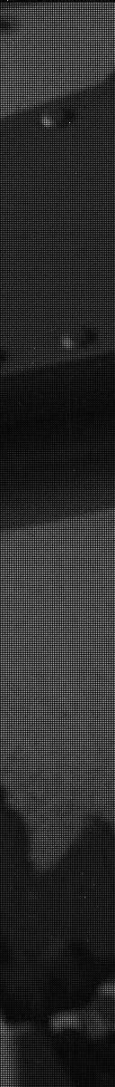 Sol 3128: Mast Camera (Mastcam)