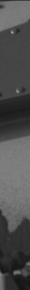 Sol 3128: Mast Camera (Mastcam)