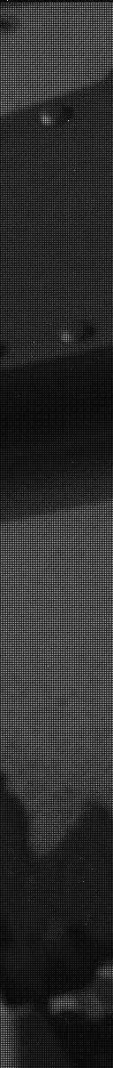 Sol 3128: Mast Camera (Mastcam)